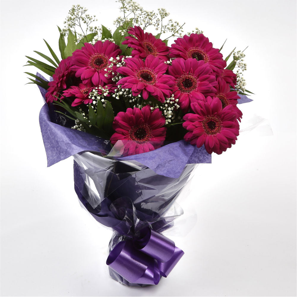 Cerise Glamour Gerberas FlowersHot Cerise Gerberas Presented with luxurious Gypsophila foliage. Each product is handcrafted by one of our expert florists using the best flowers. Beautifully wrapped and tied with ribbon before being delivered.£14.99