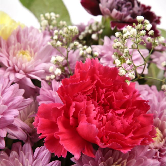Confetti Special Bouquet FlowersThis bouquet of flowers is a sweet selection in shades of Pink, this bouquet is full of pretty pastel shades of spray and long stemmed carnations, gypsophilia and pink chrysanthemums. It's absolutely perfect. Beautifully wr