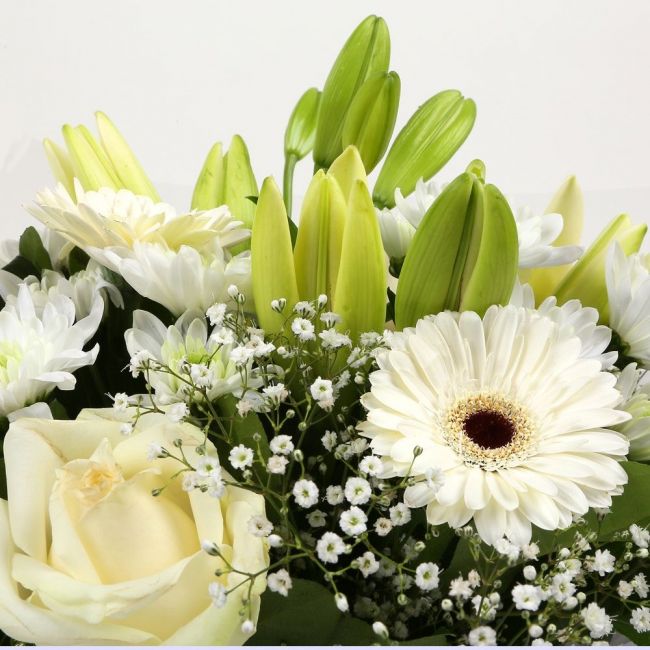 White Petite BouquetThis beautiful White bouquet says everything. a beautiful gift,this bouquet is made up of Roses,Chrsyanthemums, cream Germini, boom Chrysanthemums & Gypsophila. Beautifully wrapped and tied with ribbon before being delivered.£14.99