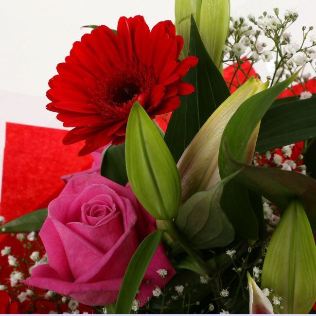 Pink Oriental BouquetPink Oriental Bouquet, Pink Roses, Oriental Lilies, Gypsophila with Red Germini and Palm foliage are expertly arranged to create this dramatic design. This stunning gift is the ultimate gift to create an impression.£14.99