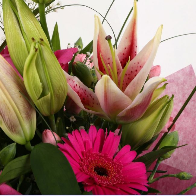Pink Florence BouquetPink Florence Bouquet, This Lovely Pink Bouquet features matching Pink Roses, Gerberas, Pink Spray Carnations and Pink lillies, Gypsophila, punctuated with palm leaves, expertly created by our florists.£14.99