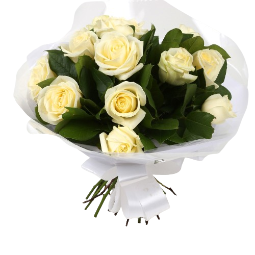 12 White Roses Bouquet12 WhiteRoses, ready to display immediately. Expertly created by our florists Beautifully wrapped.£14.99