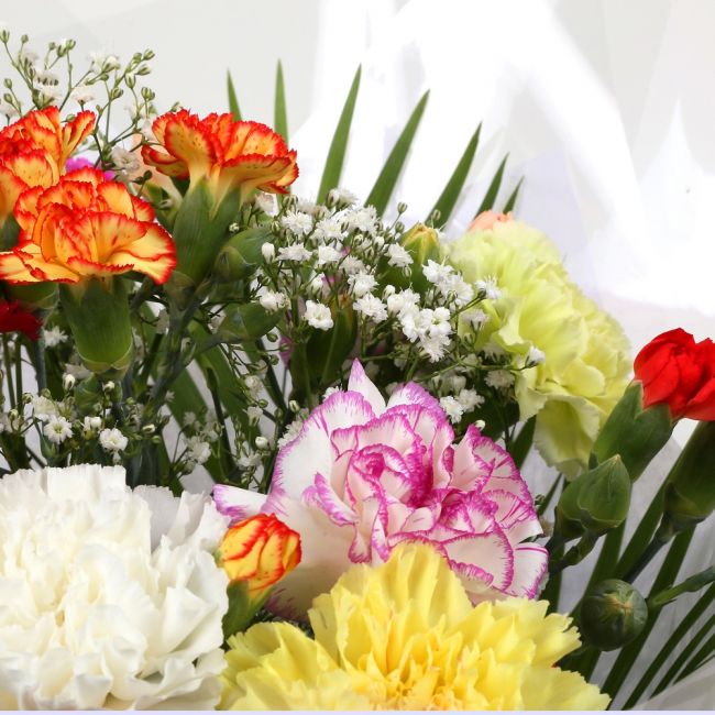 Birthday Balloon & Lollipop Star FlowersBirthday Balloon & Lollipop Star, We know how much you like this bouquet! lovely fresh Carnations contrast against the white Gypsophila, with palm leaves, a lovely Bouquet of flowers. Beautifully wrapped.£19.99