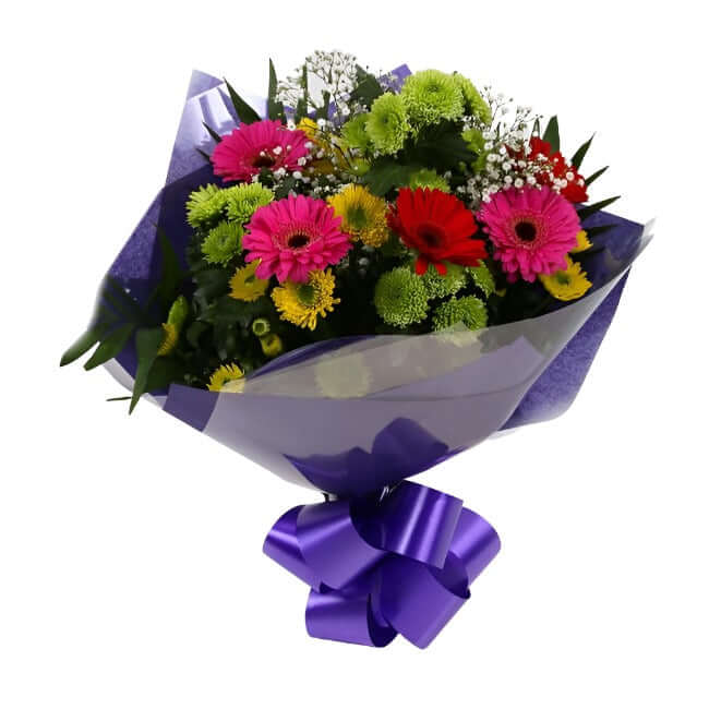 Elegance Flowers BouquetElegance Bouquet, Surprise a loved one with this gorgeous display of Germini Flowers, eye catching Daisies, Gypsophila & Chrysanthemums, with Foliage.£14.99