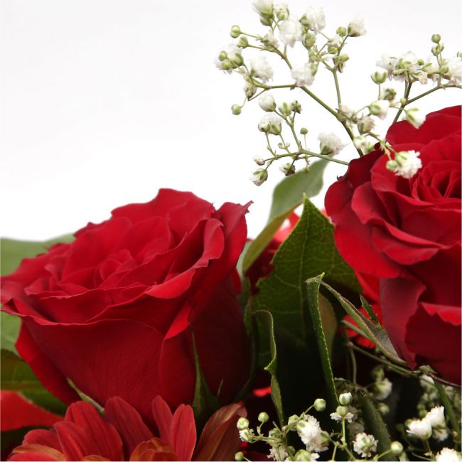 Lavish Red BouquetAdd a hint of paradise to someone's life with this vibrant Lavish Red Rose arrangement. Evoking lush Palm leaves,Gypsophila,Red Spray Dianthus, A beautiful and timeless classic. Beautifully wrapped and tied with ribbon before being deliv