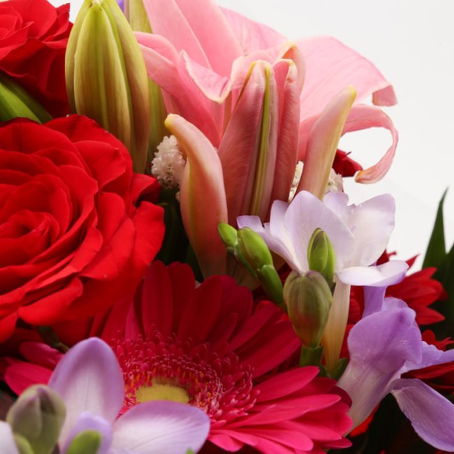 Red & Pink Delight BouquetThis Beautiful Bouquet, carefully selected flowers with foliage are expertly arranged to create this dramatic design. This stunning gift is the ultimate gift to create an impression. Beautifully wrapped and tied with ribbon befor