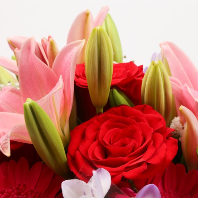 Red & Pink Delight BouquetThis Beautiful Bouquet, carefully selected flowers with foliage are expertly arranged to create this dramatic design. This stunning gift is the ultimate gift to create an impression. Beautifully wrapped and tied with ribbon befor