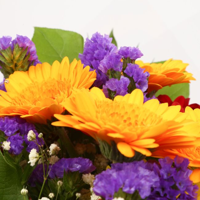 Dazzle Star BouquetThis Beautiful Bouquet, carefully selected flowers with foliage are expertly arranged to create this dramatic design. This stunning gift is the ultimate gift to create an impression. Beautifully wrapped and tied with ribbon before being