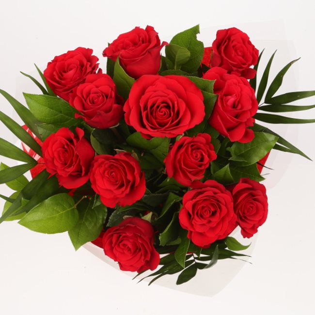 12 Red RosesThis Beautiful Bouquet, carefully selected flowers with foliage are expertly arranged to create this dramatic design. This stunning gift is the ultimate gift to create an impression. Beautifully wrapped and tied with ribbon before being delive