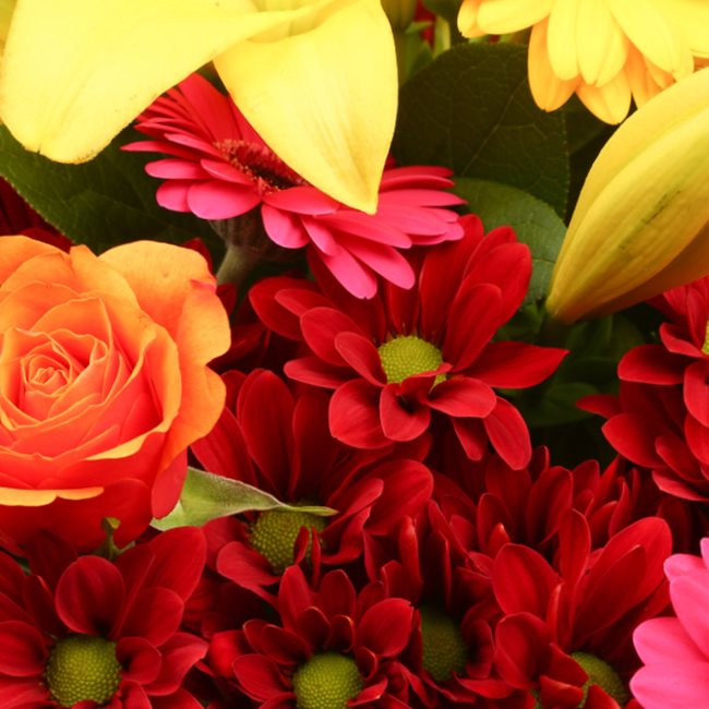 Congratulations Balloon & Warm Sunset FlowersThis Beautiful Bouquet, carefully selected flowers with foliage are expertly arranged to create this dramatic design. This stunning gift is the ultimate gift to create an impression. Beautifully wrapped and tie