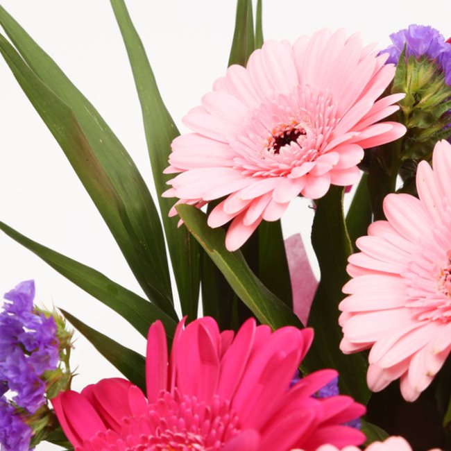 Get Well Balloon & Gerbera Blush FlowersThis Beautiful Bouquet with Balloon , carefully selected flowers with foliage are expertly arranged to create this dramatic design. This stunning gift is the ultimate gift to create an impression. Beautifully wrappe