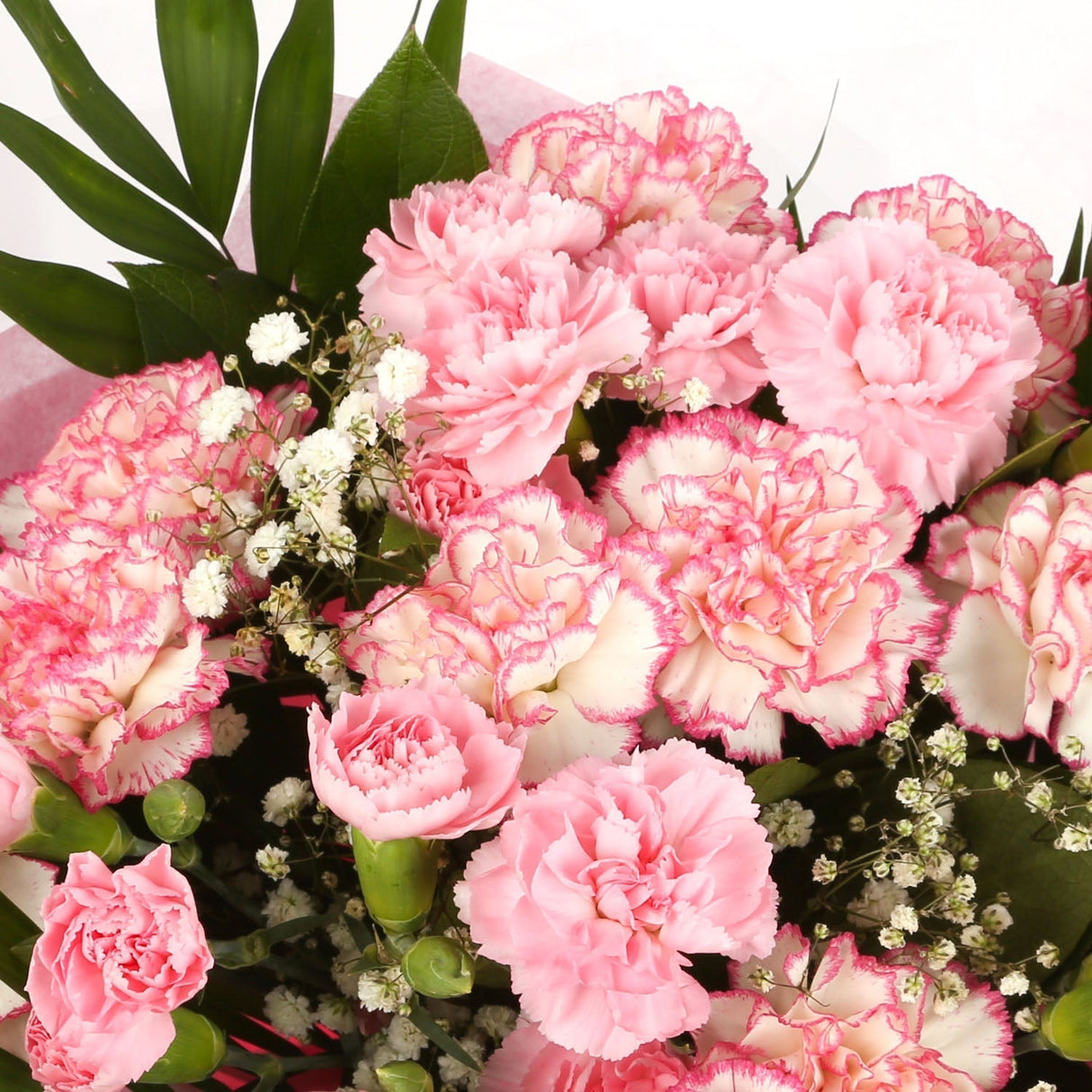 A Beautiful Pink Candy Carnations MelodyBeautiful Pink Candy Carnations Melody Melody and foliage to create this beautifully scented bouquet. Beautifully wrapped and tied with ribbon before being delivered. A Beautiful Bouquet Hand Tied Flowers. Deliverin