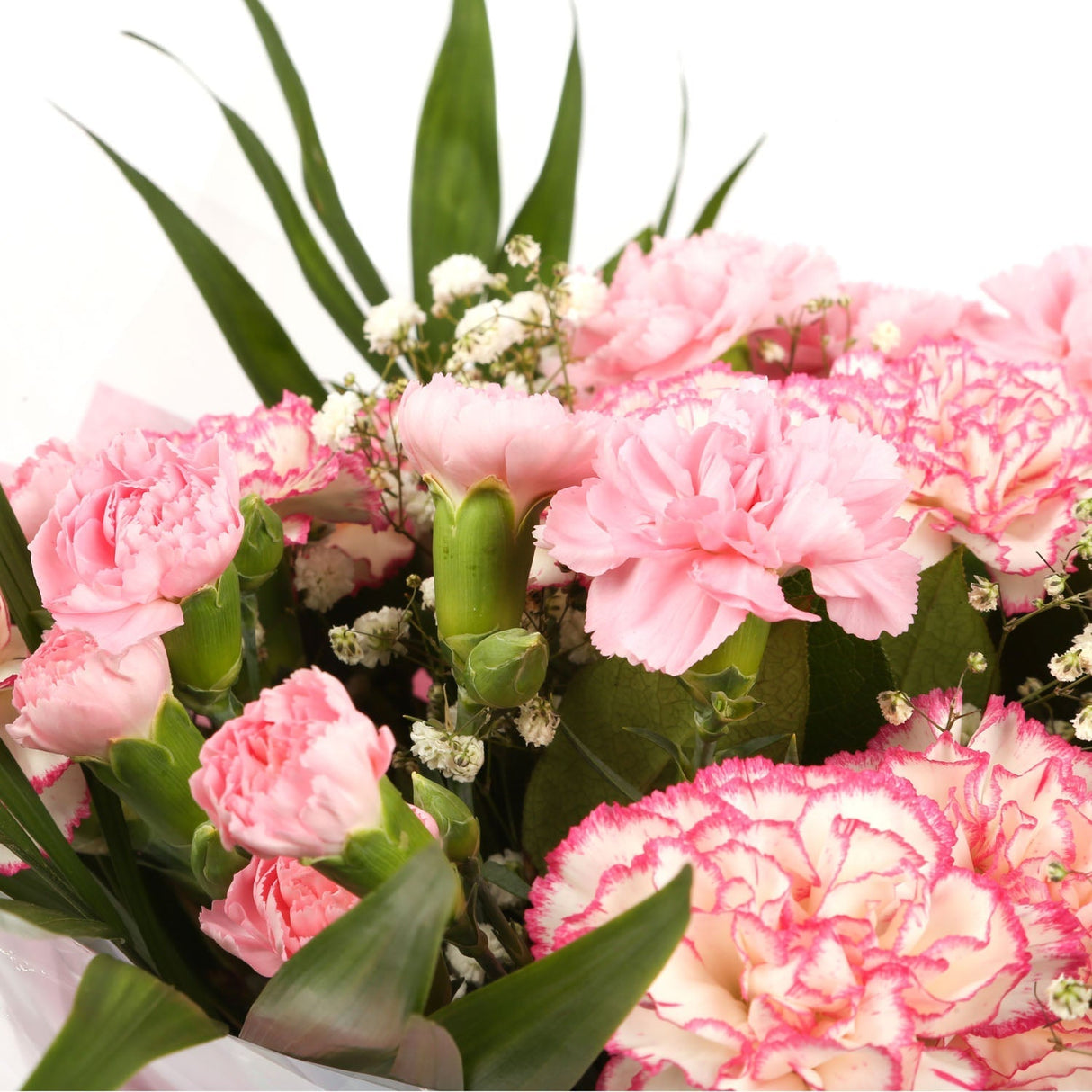 A Beautiful Pink Candy Carnations MelodyBeautiful Pink Candy Carnations Melody Melody and foliage to create this beautifully scented bouquet. Beautifully wrapped and tied with ribbon before being delivered. A Beautiful Bouquet Hand Tied Flowers. Deliverin