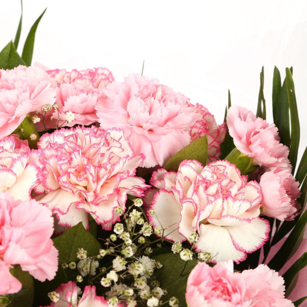 A Beautiful Pink Candy Carnations MelodyBeautiful Pink Candy Carnations Melody Melody and foliage to create this beautifully scented bouquet. Beautifully wrapped and tied with ribbon before being delivered. A Beautiful Bouquet Hand Tied Flowers. Deliverin