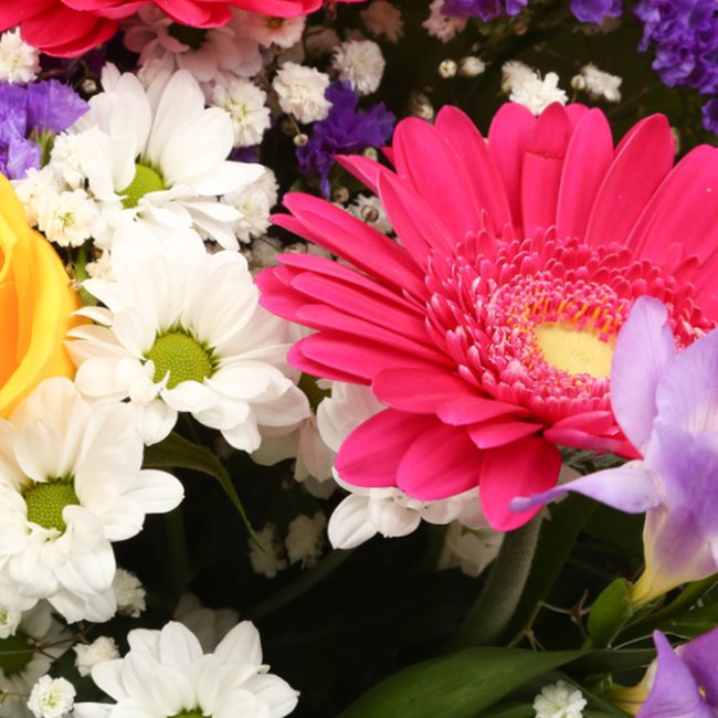 Thank You Balloon & Brilliant Blooms BouquetThis Beautiful Bouquet, carefully selected flowers with foliage are expertly arranged to create this dramatic design. This stunning gift is the ultimate gift to create an impression. Beautifully wrapped and tied