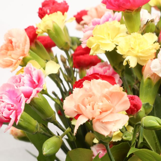 Get Well Balloon & Multi Colour star FlowersThis Beautiful Bouquet, carefully selected flowers with foliage are expertly arranged to create this dramatic design. This stunning gift is the ultimate gift to create an impression. Beautifully wrapped and tied