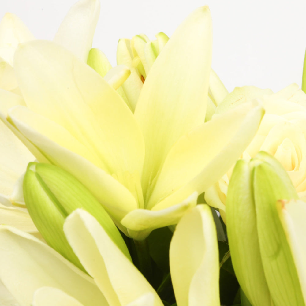 Birthday Balloon & White Elegance FlowersThis Beautiful Bouquet, carefully selected flowers with foliage are expertly arranged to create this dramatic design. This stunning gift is the ultimate gift to create an impression. Beautifully wrapped and tied wi