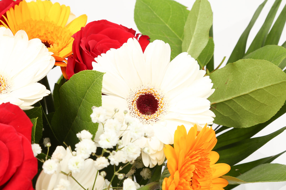 Celebration FlowersThis Beautiful Bouquet, carefully selected flowers with foliage are expertly arranged to create this dramatic design. This stunning gift is the ultimate gift to create an impression. Beautifully wrapped and tied with ribbon before being