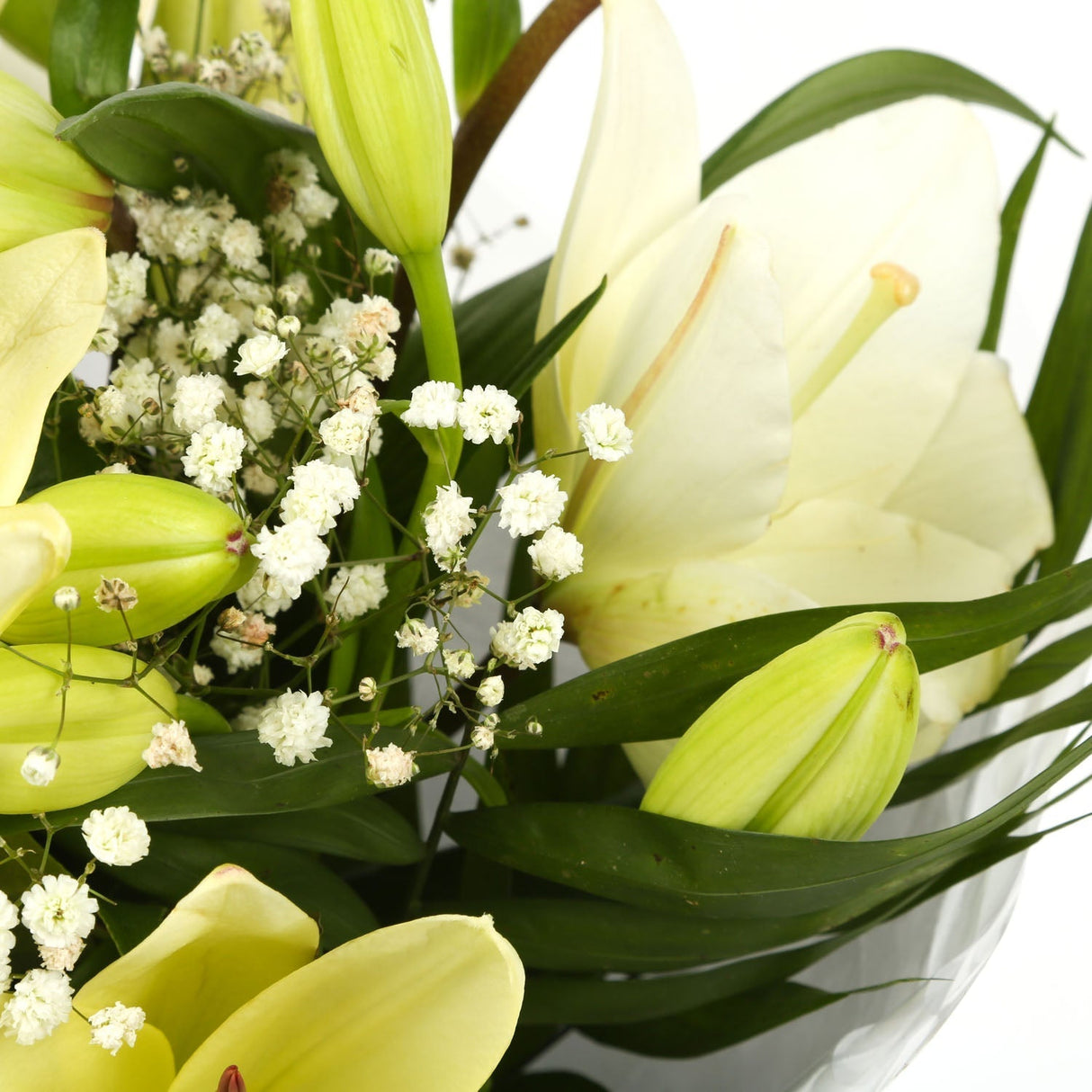 A Classic White Lilies BouquetA Classic White Lilies Bouquet flowers Beautifully wrapped and tied with ribbon before being delivered. A Beautiful Bouquet Hand Tied Flowers. Delivering Great Value Fresh Cut Flowers. Add Personalised Message At Checkout. Fr