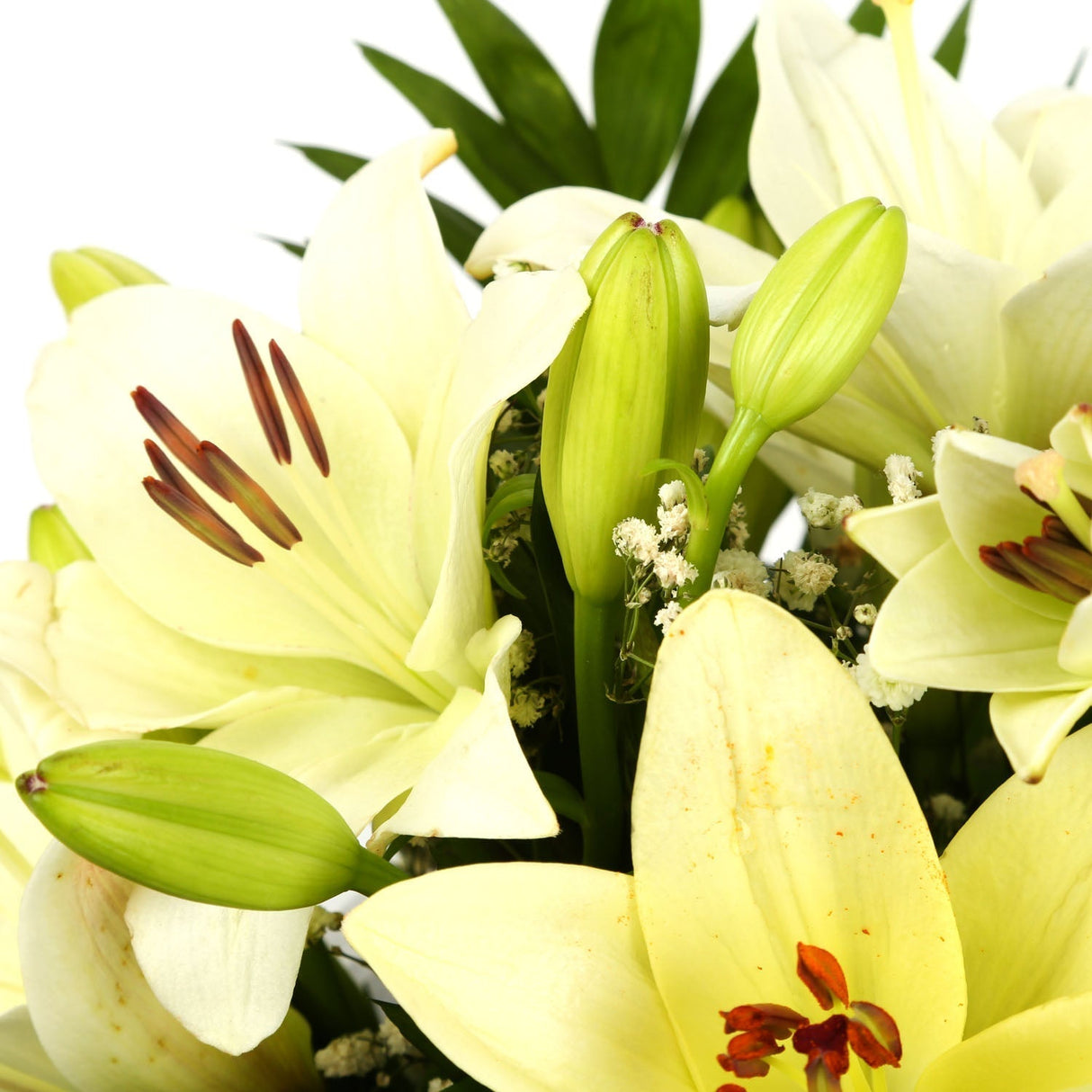 A Classic White Lilies BouquetA Classic White Lilies Bouquet flowers Beautifully wrapped and tied with ribbon before being delivered. A Beautiful Bouquet Hand Tied Flowers. Delivering Great Value Fresh Cut Flowers. Add Personalised Message At Checkout. Fr
