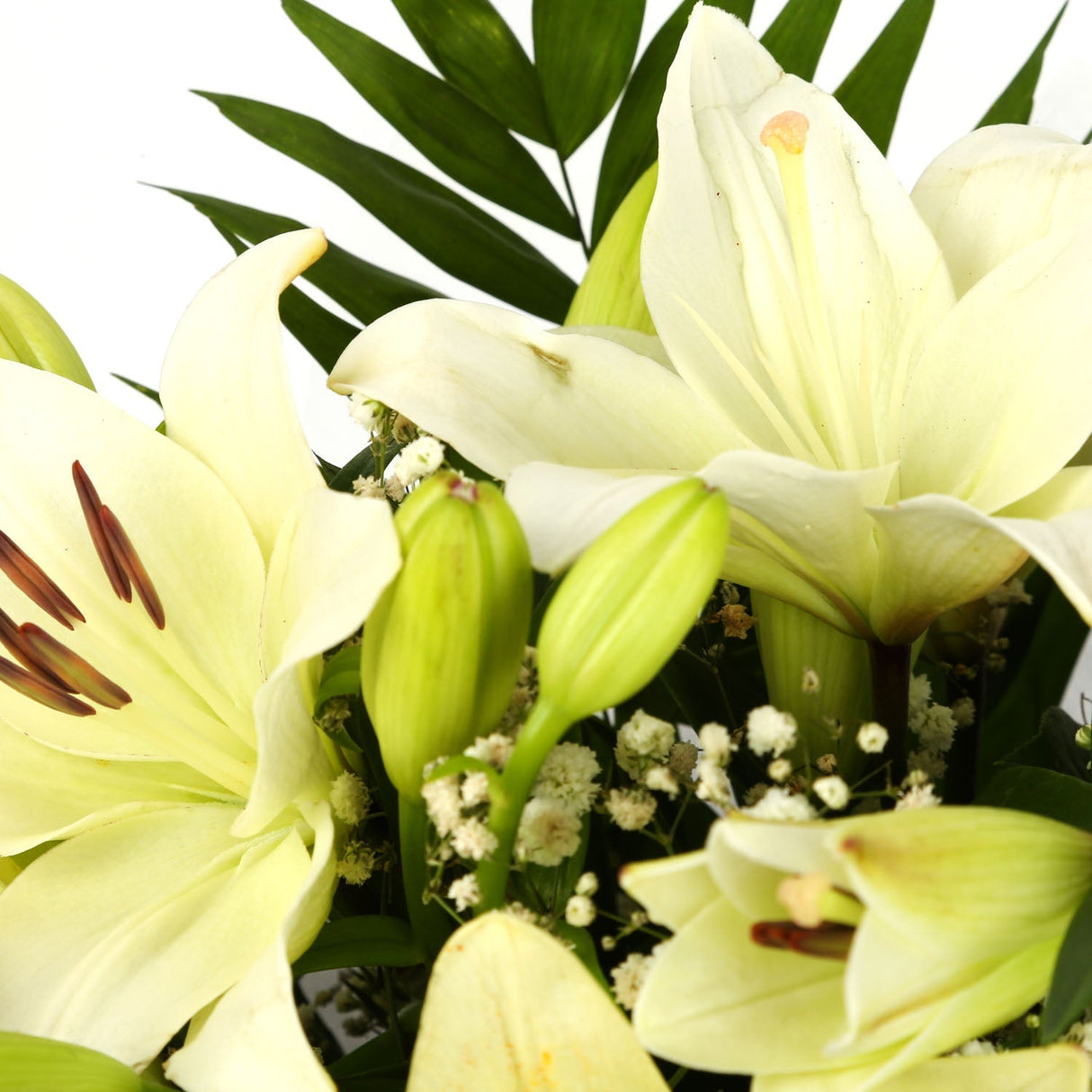A Classic White Lilies BouquetA Classic White Lilies Bouquet flowers Beautifully wrapped and tied with ribbon before being delivered. A Beautiful Bouquet Hand Tied Flowers. Delivering Great Value Fresh Cut Flowers. Add Personalised Message At Checkout. Fr
