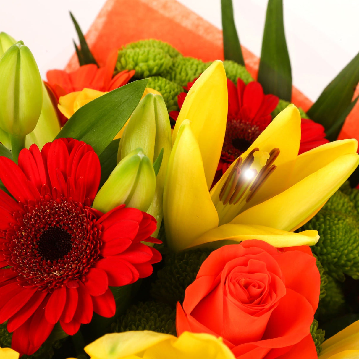 A Red Sunset Bouquet