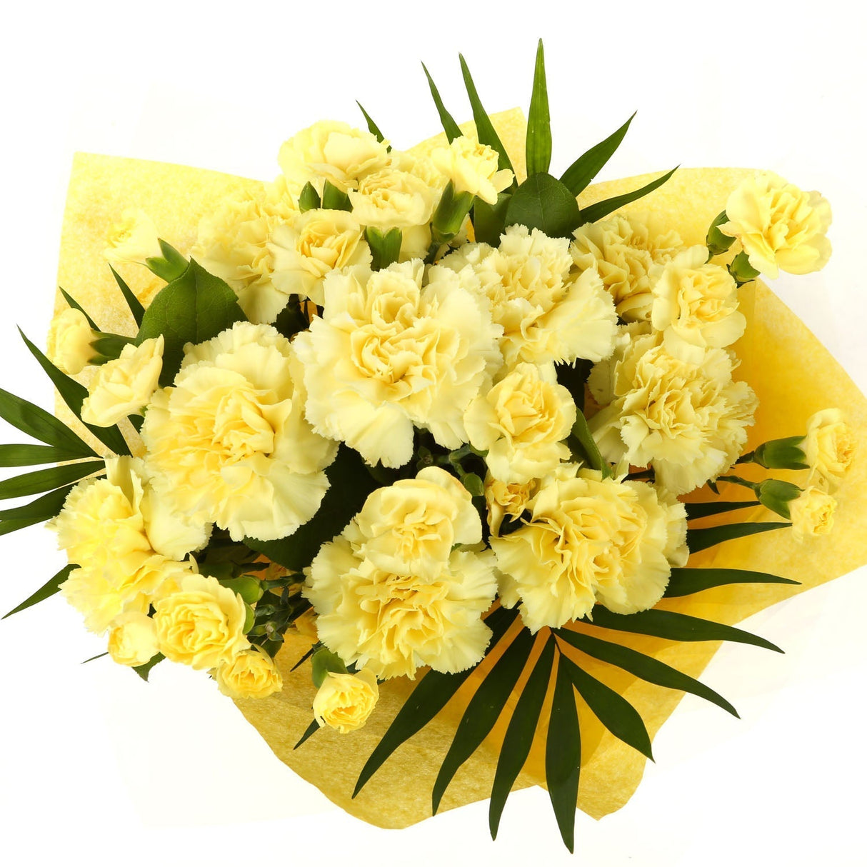 A Beautiful Gold Carnations MelodyBeautiful Yellow Gold Carnations Melody and foliage to create this beautifully scented bouquet. Beautifully wrapped and tied with ribbon before being delivered. A Beautiful Bouquet Hand Tied Flowers. Delivering Great Valu