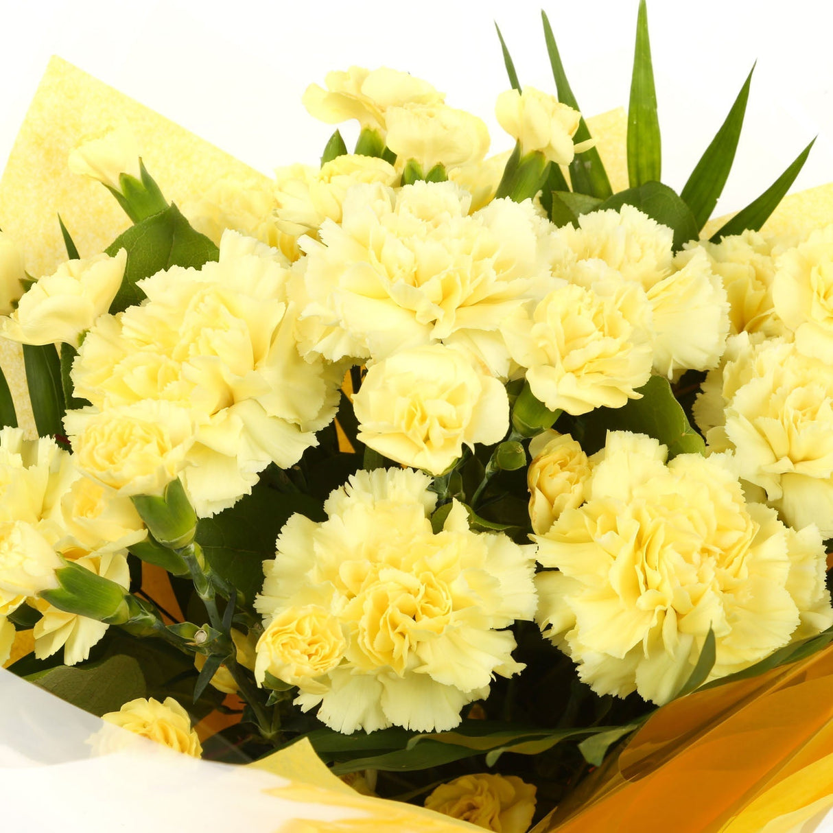 A Beautiful Gold Carnations MelodyBeautiful Yellow Gold Carnations Melody and foliage to create this beautifully scented bouquet. Beautifully wrapped and tied with ribbon before being delivered. A Beautiful Bouquet Hand Tied Flowers. Delivering Great Valu