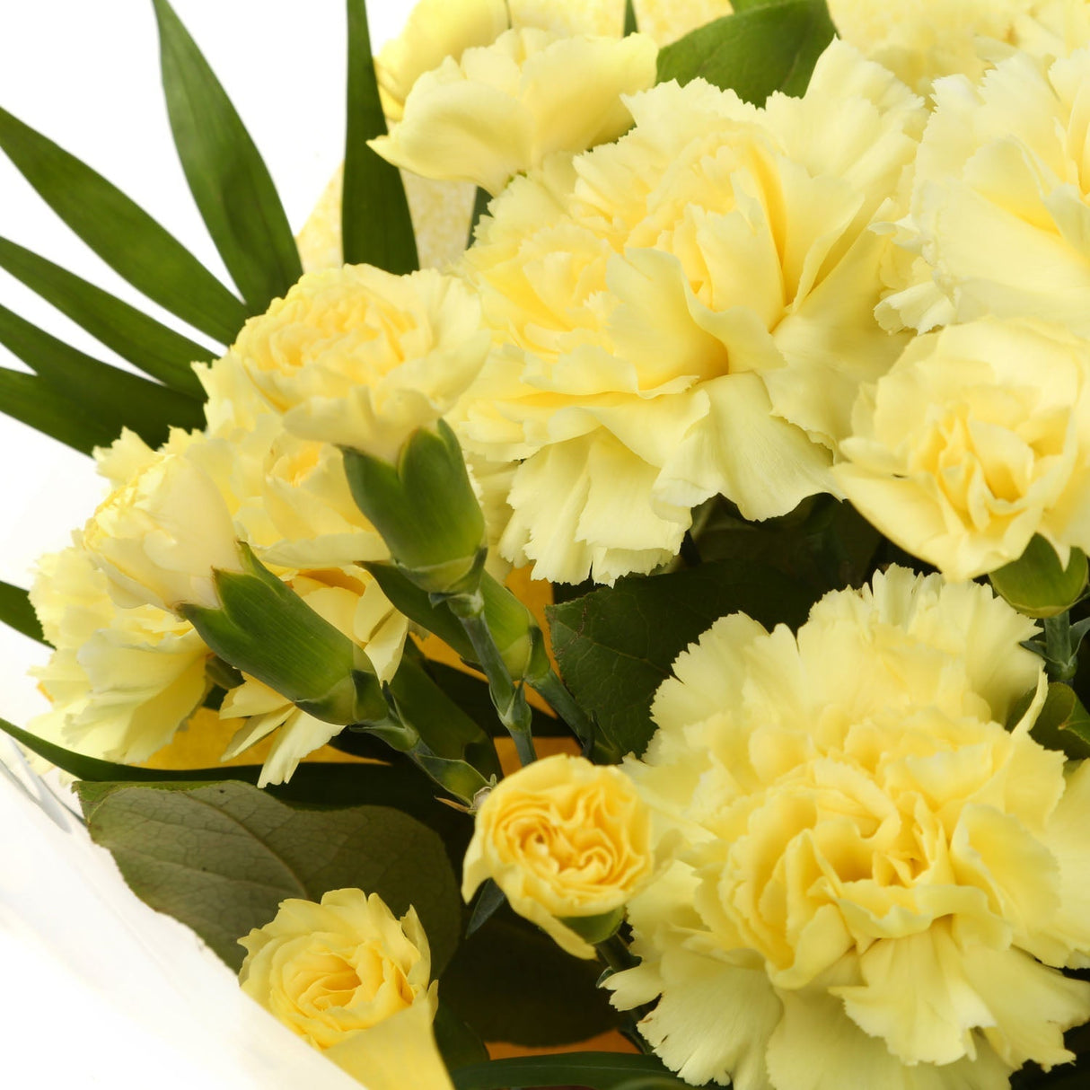 A Beautiful Gold Carnations MelodyBeautiful Yellow Gold Carnations Melody and foliage to create this beautifully scented bouquet. Beautifully wrapped and tied with ribbon before being delivered. A Beautiful Bouquet Hand Tied Flowers. Delivering Great Valu