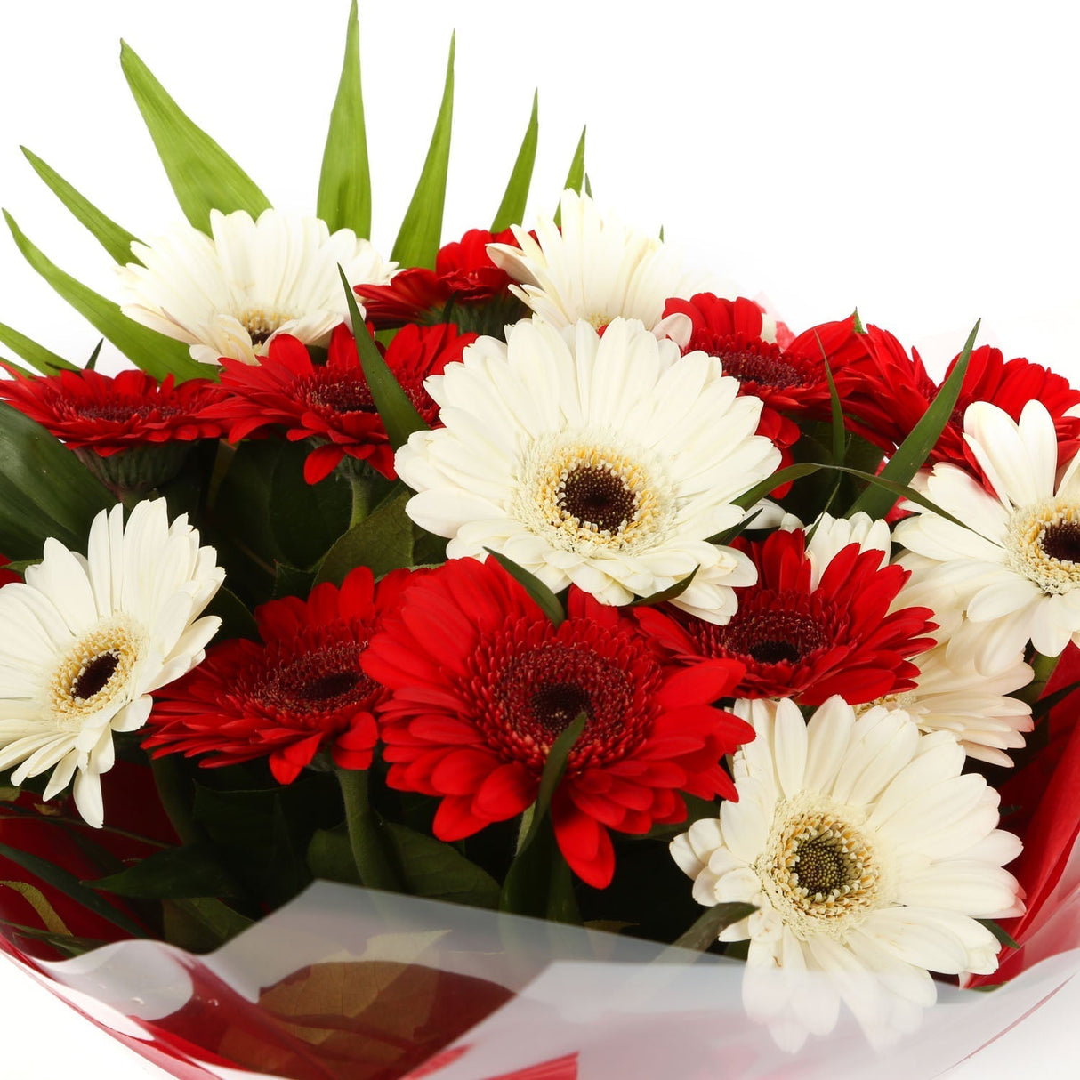 A Happy Gerbera Daisies BouquetHappy Gerbera Daisies Bouquet and foliage to create this beautifully scented bouquet. Beautifully wrapped and tied with ribbon before being delivered. A Beautiful Bouquet Hand Tied Flowers. Delivering Great Value Fresh Cut F