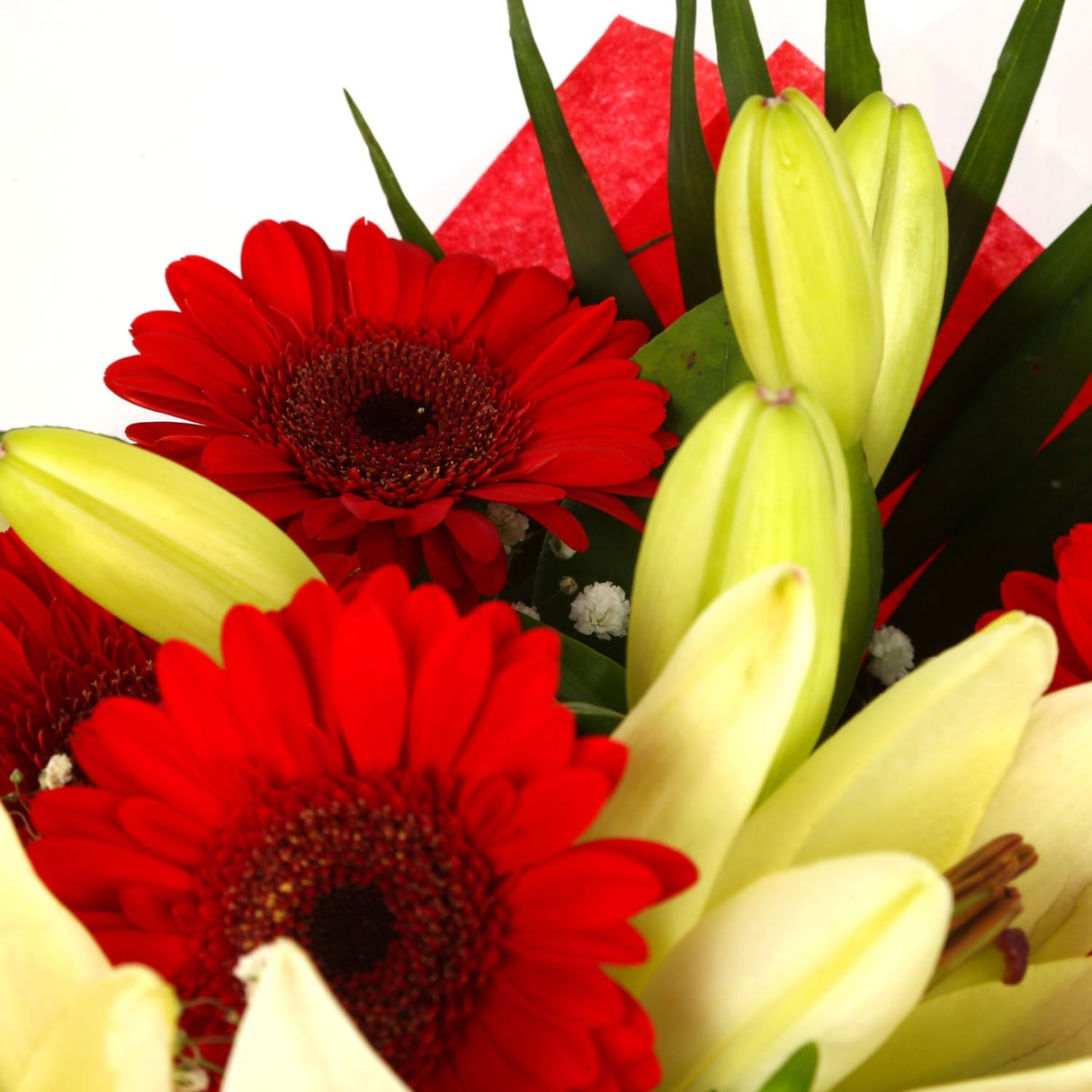 Stunning Red Gerbera & Lily Flowers Bouquet