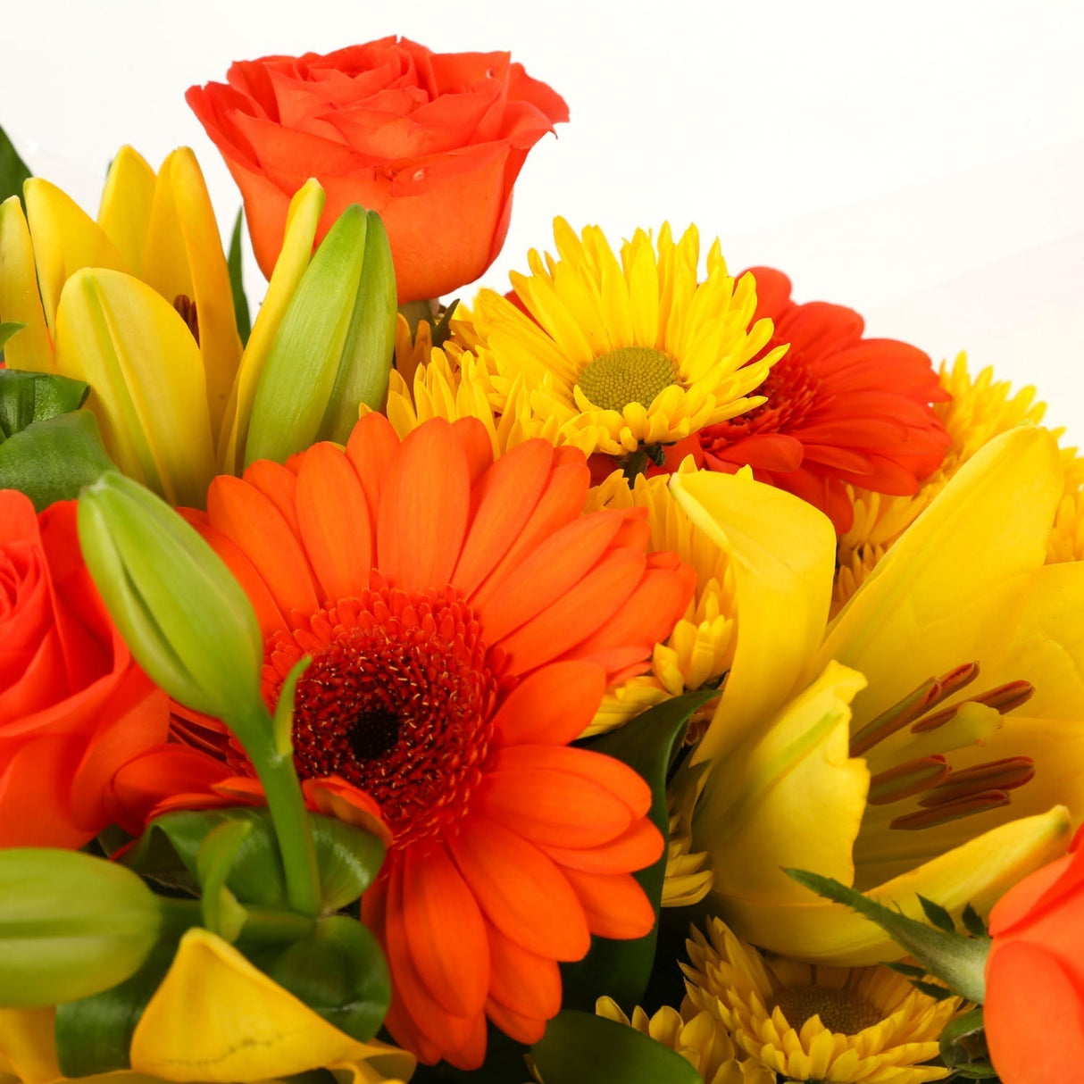 A Cherished Blooms BouquetA Cherished Blooms Bouquet flowers Beautifully wrapped and tied with ribbon before being delivered. A Beautiful Bouquet Hand Tied Flowers. Delivering Great Value Fresh Cut Flowers. Add Personalised Message At Checkout. Free Messa