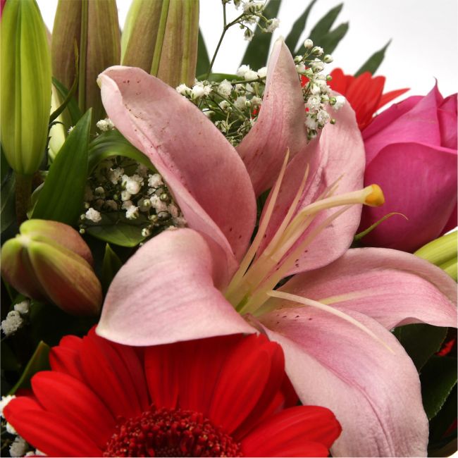 Majestic Luxury BouquetMajestic Luxury Bouquet that Is sure to make someone feel very special. We have chosen the finest flowers to create a breathtaking Bouquet, Beautifully wrapped and tied with ribbon before being delivered.£14.99