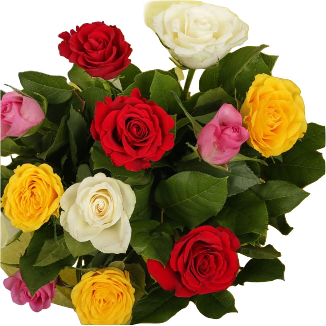Beautiful Mixed Roses Bouquet FlowersBeautiful Mixed Roses, wrapped with matching ribbon, great value. This lovely selection of flowers is the perfect gift for any occasion. Roses are beautifully presented. Beautifully wrapped and tied with ribbon before