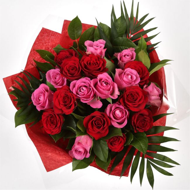 12 Red Pink Blush Rose BouquetThis beautiful selection of fresh 12 Roses, in pretty Pink shades and Red, is a classic choice, ready to be displayed instantly. Beautifully wrapped and tied with ribbon before being delivered.£22.99