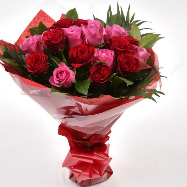 12 Red Pink Blush Rose BouquetThis beautiful selection of fresh 12 Roses, in pretty Pink shades and Red, is a classic choice, ready to be displayed instantly. Beautifully wrapped and tied with ribbon before being delivered.£14.99
