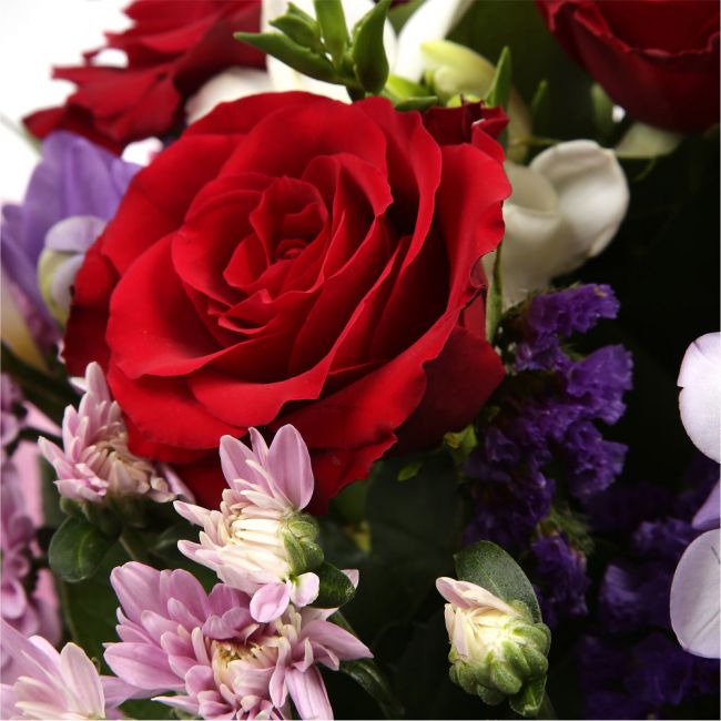 Pastel Beautiful BouquetAn eye-catching hand-tied bouquet including Freesias, Statice, Spray Chrysanthemums and large-headed Red Roses complemented by white & purple Freesias. finished with a cerise ribbon, this vivid selection of flowers will create a st