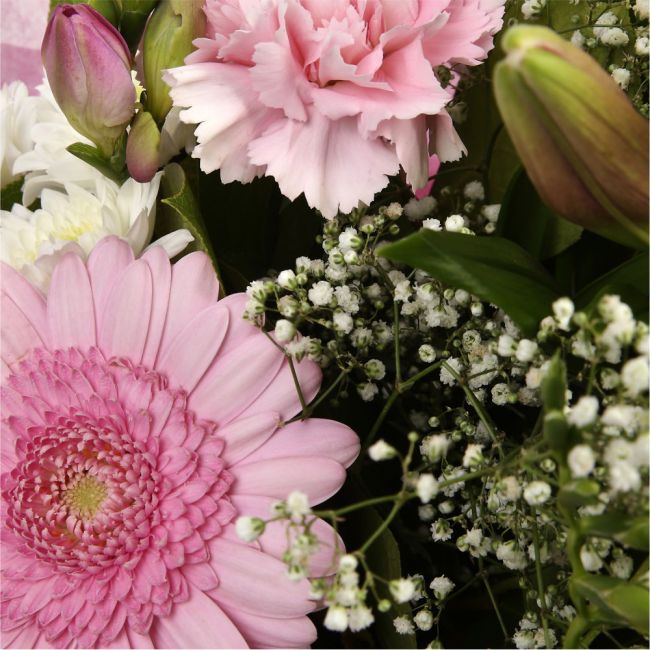 Pink Princess BouquetAn alluring hand-tied bouquet featuring Oriental Lilies, Gerberas, Anastasias, Gypsophila, in an array of pinks with striking Fressias & Chrysanthemums as highlights. A truly glamorous gift for any special occasion. Beautifully wrappe
