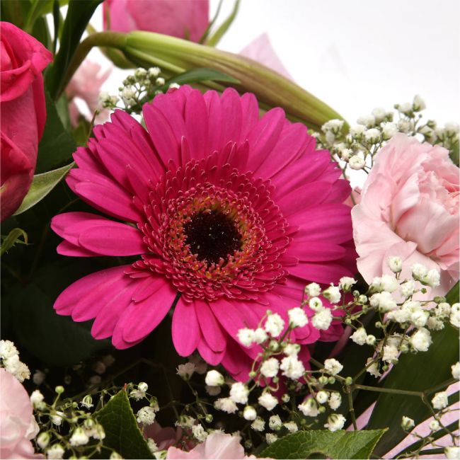 Pink Sienna BouquetThis lovely selection of flowers is the perfect gift for any occasion.Pink Germini, Pink Roses & Pink Spray with Palm Leaf and other assorted flowers are beautifully presented. Beautifully wrapped and tied with ribbon before being deliv