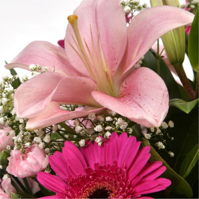Pink Sienna BouquetThis lovely selection of flowers is the perfect gift for any occasion.Pink Germini, Pink Roses & Pink Spray with Palm Leaf and other assorted flowers are beautifully presented. Beautifully wrapped and tied with ribbon before being deliv