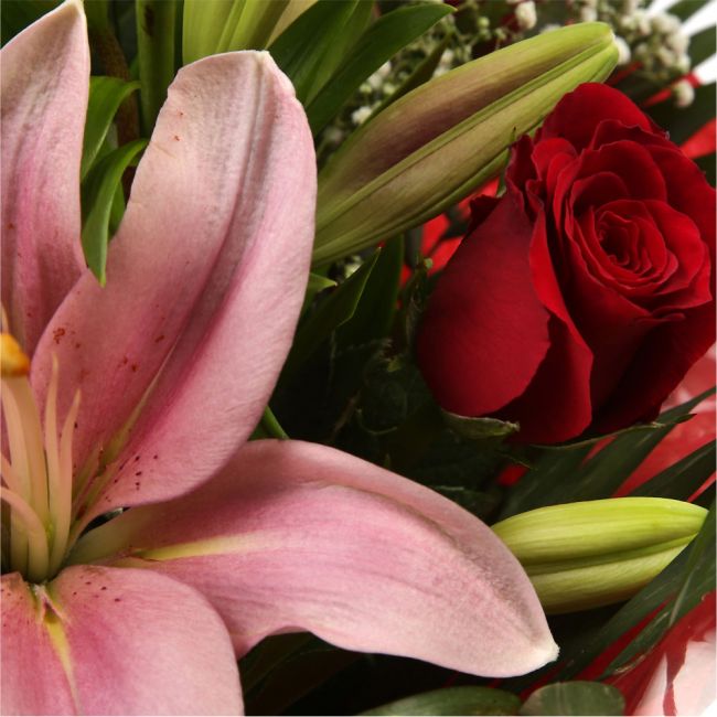 Special Rose and Lily BouquetSpecial Rose and Lily Bouquet Red Roses, Oriental Lilies and Palm foliage are expertly arranged to create this dramatic design. This stunning gift is the ultimate gift to create an impression. Beautifully wrapped and tied with