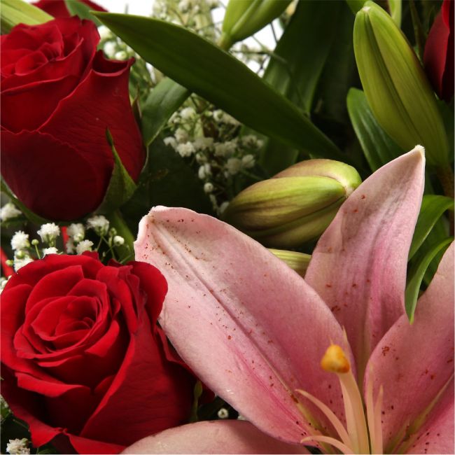 Special Rose and Lily BouquetSpecial Rose and Lily Bouquet Red Roses, Oriental Lilies and Palm foliage are expertly arranged to create this dramatic design. This stunning gift is the ultimate gift to create an impression. Beautifully wrapped and tied with