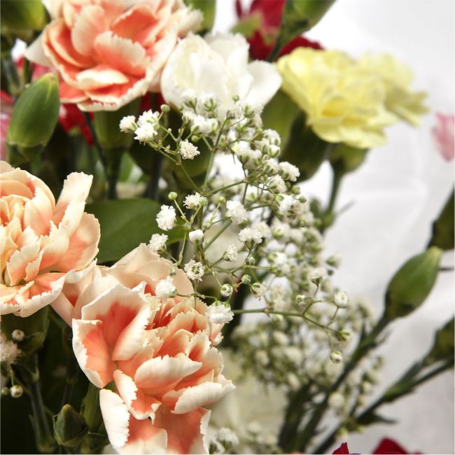 Joyful Splendor BouquetBeautiful long lasting Vibrant Spray Bouquet is a pretty display of 15 delicate spray Carnations in beautiful shades. Each stem has at least four flower heads so 15 stems will give around 50 - 60 flowerheads. Colours may vary from i