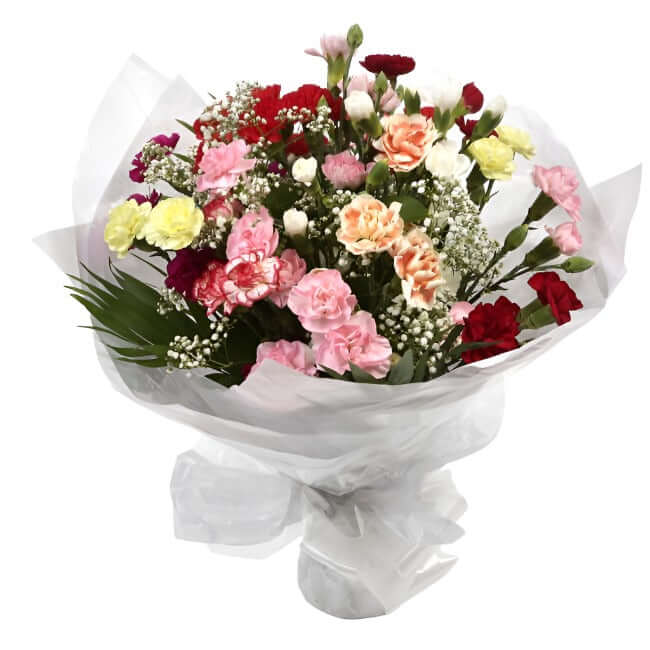 Joyful Splendor BouquetBeautiful long lasting Vibrant Spray Bouquet is a pretty display of 15 delicate spray Carnations in beautiful shades. Each stem has at least four flower heads so 15 stems will give around 50 - 60 flowerheads. Colours may vary from i