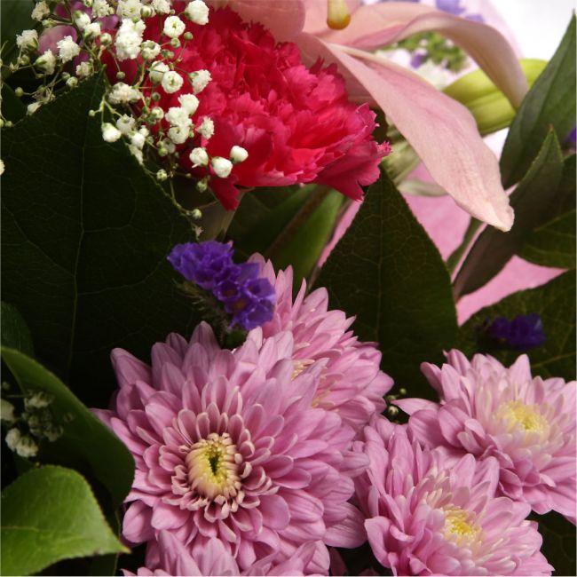 Stunning Pink Cerise BouquetThis Sweet Pink bouquet features matching Pink Chrysanthemums, Pink Cerise Carnations, purple Statice and Gypsophila, punctuated with leaves Pink Lillies, expertly created by our florists. Beautifully wrapped and tied with ribb