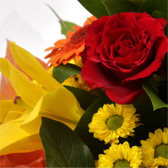 Orange Sunshine BouquetThis Sunshine bouquet features matching Red Roses.Orange Gerberas, Red Carnations, Lillie's with Solidago and other assorted flowers, punctuated with palm leaves expertly created by our florists.Beautifully wrapped and tied with rib