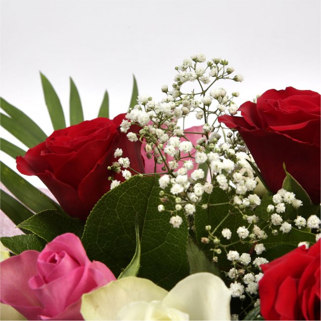 12 Sweet Expressions RosesLooking for the perfect way to express your sentiments to someone? Try our Sweet Expressions roses, a bouquet of roses pink, red, and white roses. impression with 12 Sweet Expressions roses. Beautifully wrapped and tied with ribb