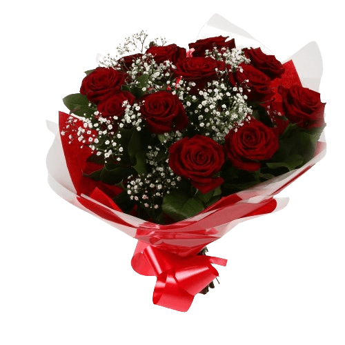 12 Red Roses With Gypsophila12 Red Roses With Gypsophila, A luxurious combination of 12 perfect Red Roses with Gypsophila and lush green foliage, carefully arranged Beautifully wrapped and tied with ribbon before being delivered.£19.99