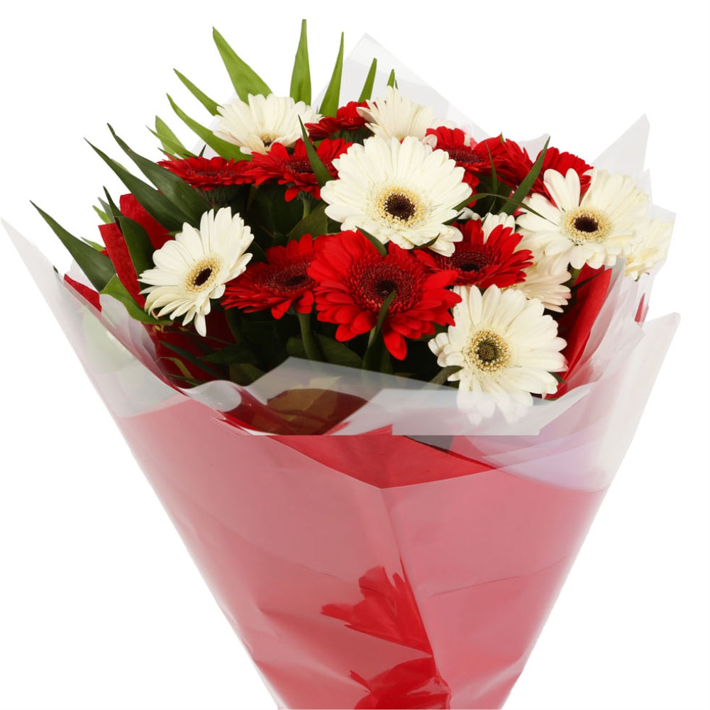 A Happy Gerbera Daisies BouquetHappy Gerbera Daisies Bouquet and foliage to create this beautifully scented bouquet. Beautifully wrapped and tied with ribbon before being delivered. A Beautiful Bouquet Hand Tied Flowers. Delivering Great Value Fresh Cut F
