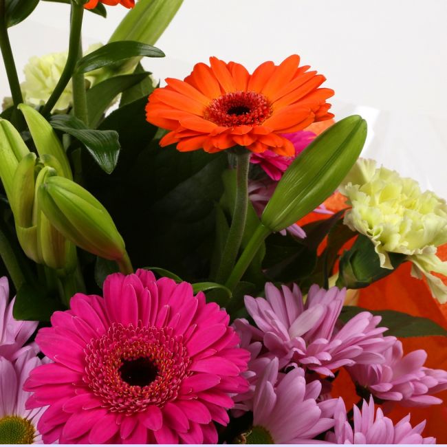 Birthday Balloon & Colour Burst Bouquet FlowersBirthday Balloon & Colour Burst Bouquet, Surprise a loved one with this gorgeous display of vibrant flowers, eye catching daisies, Yellow Lillies & Chrysanthemums, and Mint green Carnations.£19.99